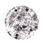 Βερνίκι Cuccio Colour Experimental (Best Night Ever Collection) 13ML - Image 3