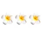 Σετ 3 τμχ Νυφικό Κλιπ σε σχήμα λευκού λουλουδιού 8 cm