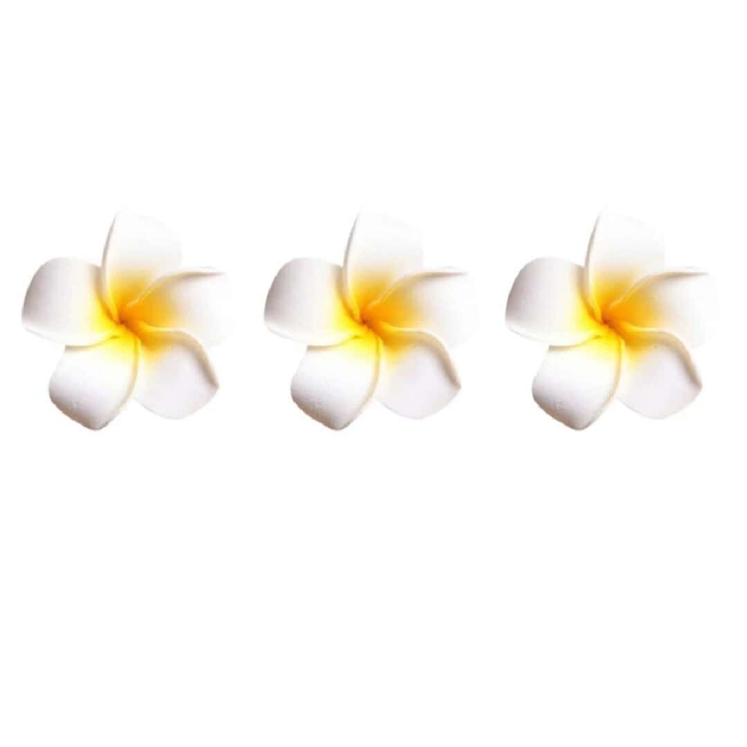 bridal-white-flower-clip Σετ 3 τμχ Νυφικό Κλιπ σε σχήμα λευκού λουλουδιού 8 cm - Image 1