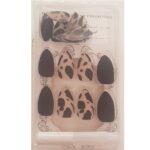 Press-on Nails Ψεύτικα νύχια σετ nail art 24 Τμχ  + 1 extra κόλλα- Black Print - Image 3