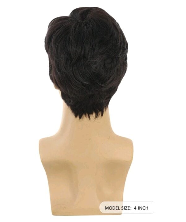 Ανδρική περούκα συνθετική υψηλής ποιότητας - Μαύρο χρώμα 8 inches - Image 2