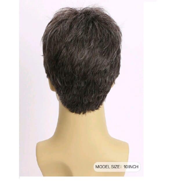 Ανδρική Περούκα συνθετική υψηλής ποιότητας καστανό-γκρι χρώμα 10 inches - Image 2