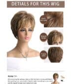 Γυναικεία περούκα σε καστανό ανοιχτό χρώμα με ανταύγειες συνθετική υψηλής ποιότητας 10 inches - Image 5