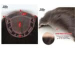 Γυναικείο Topper Τουπέ κορυφής μαλλιών με κλιπ μεγάλης επιφάνειας και διάφανη χωρίστρα 18 inches συνθετική τρίχα Kanekalon- Ξανθό με ανταύγειες και σκούρη ρίζα χρώμα - Image 4