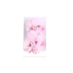 Σετ 2 τμχ Παιδικό-βρεφικό Κλιπ λουλουδάκι Pink με προστατευτικό ύφασμα 5cm